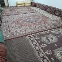 سویت روزانه ماهانه تمیز درجه یک