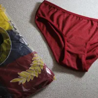 لباس زیر مردانه زنانه به قیمت عمده|لباس|فولادشهر, مسکن مهر فولادشهر|دیوار