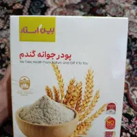 پودر جوانه گندم خانگی و خالص (تازه)