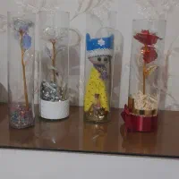 گلدون کاودیی