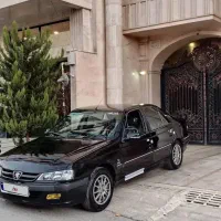 پارس فرانسوی عروسک