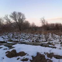 اجاره-سوییت-باغ