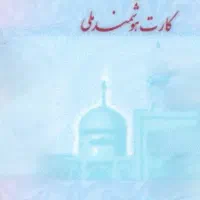 کارت ملی پیدا شده