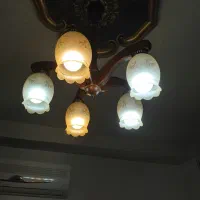 لوستر