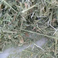 یونجه خرد شده