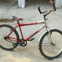 دوچرخه سالم