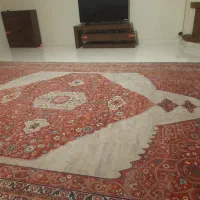 فروش ۳تخته فرش مرینوس|فرش|تهران, تهرانپارس غربی|دیوار