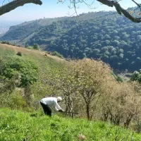 چشم-انداز-بی-نظیر