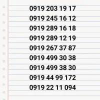 0919.5500.778