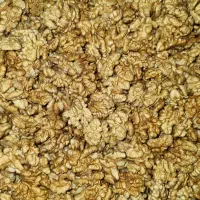 پخش مغز گردو به سوپر مارکت ها