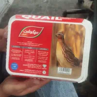 گوشت بلدرچین