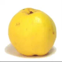 به درجه ۱