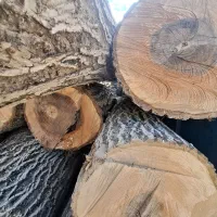 دررخت و چب چوب تیر خشک|خدمات باغبانی و درختکاری|کمیجان, |دیوار