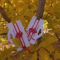 انواع دستبندهای فانتزی|بدلیجات|ساوه, |دیوار