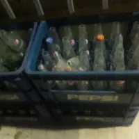 شیشه نوشابه مفت میدم