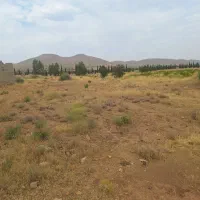 هزار متر زمین باغ انگور  سر دو راهی بردج|فروش زمین و ملک کلنگی|شیراز, داریون|دیوار