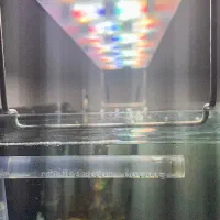 اکواریوم ریملس ۱۰ میل|ماهی|قرچک, باقرآباد|دیوار