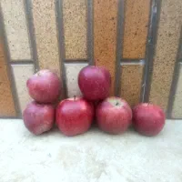 بازاریاب خانم در اهواز برای جذب مشتری عراقی (سیب)|استخدام بازاریابی و فروش|اهواز, ۲۰۰۰واحدی|دیوار