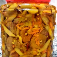 ترشی انبه|خوردنی و آشامیدنی|رودان, |دیوار