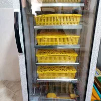 دستگاه جوجه کشی ۲۱۰ عددی