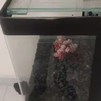 آکواریم با پایه و لوازم|ماهی|فردیس, شهرک ارم|دیوار