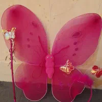 پروانه و چوب جادو