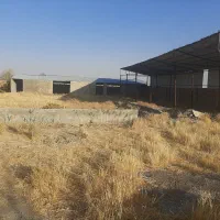 مجتمع دامداری و باغ ۳۰۰۰ متری