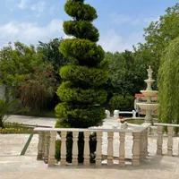 ویلا باغ ۱۲۰۰ متری سندار دلباز در قلب شهر لشت نشا|فروش خانه و ویلا|لشت نشا, |دیوار