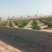 زمین ۲۵۰ متری آماده ساخت با تمام امکانات