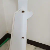 رخت آویزدرختی سفیدرنگ وگلدان زردرنگ|بندرخت و رخت‌آویز|پیشوا, |دیوار