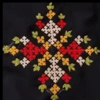 پلیوار دوز هستم