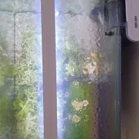 آکواریوم شیشه خمه ماهیران ۵۰×۳۴×۳۴|ماهی|کرمانشاه, |دیوار