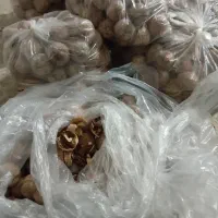 گردو محلی|خوردنی و آشامیدنی|شیراز, گلشن|دیوار