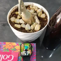 پیدا شده