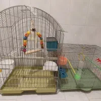 قفس پرنده