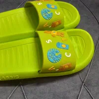 تعدادی دمپائی