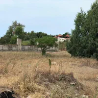 فروش زمین ویلایی لب دریا (میاندورود گهرباران ساری)