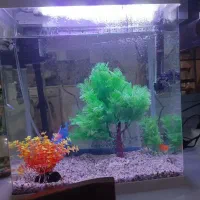 آکواریوم شیشه خم