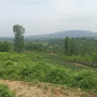 ۵۰۰مترزمین الحاق به بافت ویو جنگلی //معاوضه