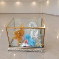باکس بله برون خنچه