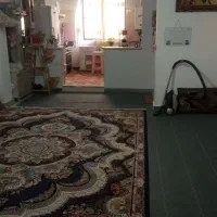 نیاز-به-پولش-دارم-ویلا-راضی-هستم