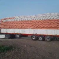 خریدار * کاه گندم * به صورت نقدی