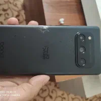 داریا باند۱