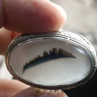 انگشتر شجر قائنات