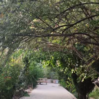 فروش-تجاری-300-متری