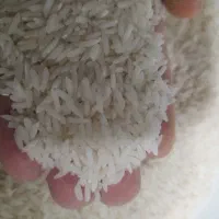 ۱ برنج شمال درجه یک خالص|خوردنی و آشامیدنی|تهران, آذربایجان|دیوار