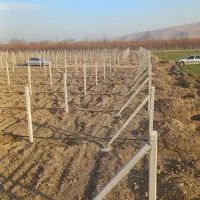 فنس کشی وتیرگذاری باغ