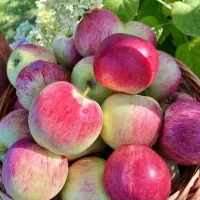 با پانصد میلیون چه کاری میشه انجام داد