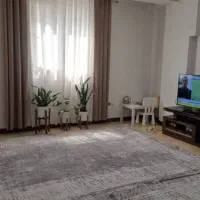 اجاره آپارتمان، ۶۰متری، یک خواب