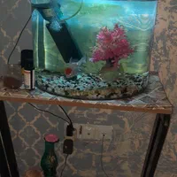 اکواریوم